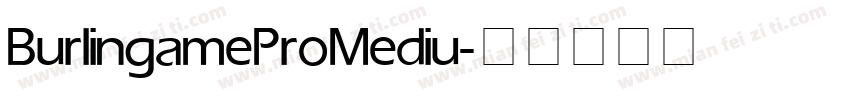 Burlingame Pro Mediu字体转换